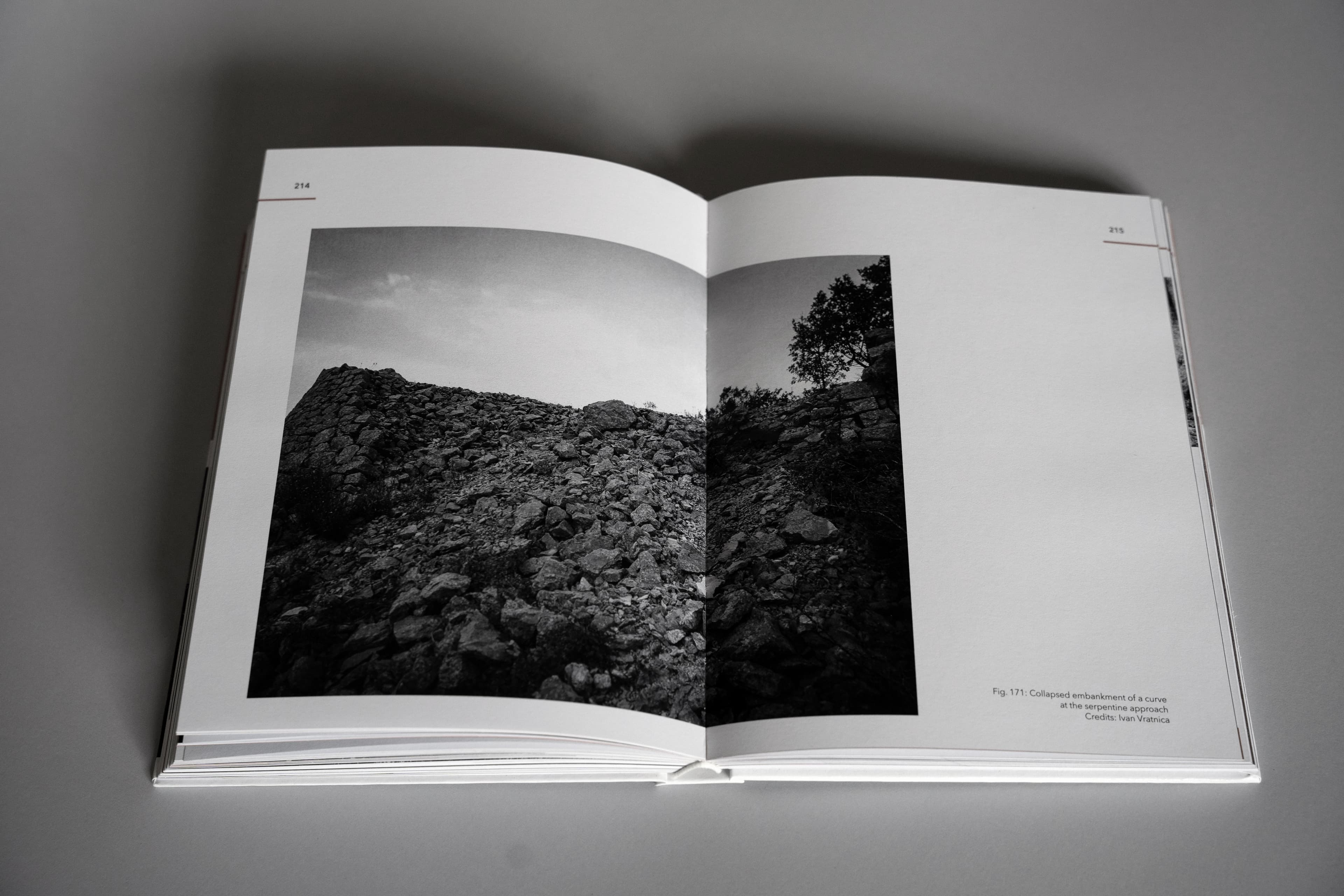Gallery image 12